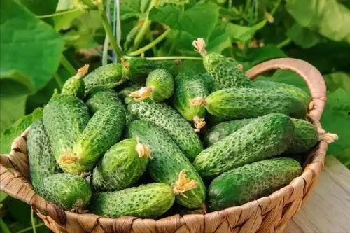 最近大瓜事件,揭秘明星隐私风波背后的真相-第2张图片-草莓视频深夜