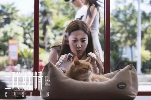 花样视频成人看片,花样视频中的激情与诱惑-第3张图片-草莓视频深夜