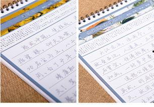 成人慢动作练字教学视频,成人高效练字教学视频攻略-第3张图片-草莓视频深夜