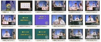 成人练字视频行书大全,成人练字视频大全精选解析-第1张图片-草莓视频深夜