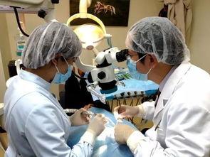 医院成人拔牙流程视频大全,从术前准备到术后护理-第2张图片-草莓视频深夜