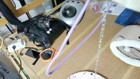 成人滑轮课程视频大全,成人滑轮课程视频大全精华汇总-第3张图片-草莓视频深夜 成人滑轮课程视频大全,成人滑轮课程视频大全精华汇总-第3张图片-草莓视频深夜