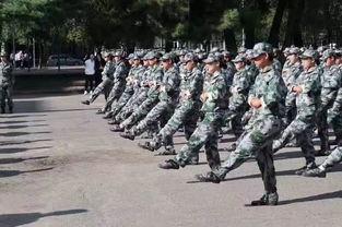 成人军训开枪视频播放,震撼开枪瞬间，展现军人风采-第1张图片-草莓视频深夜