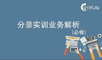 成人会计讲解视频大全教程,系统掌握会计知识宝典-第3张图片-草莓视频深夜