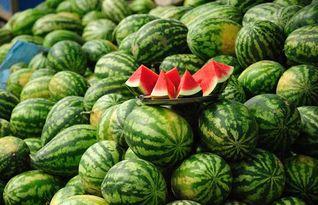 西瓜造型成人教程视频,跟随教程视频打造独特西瓜造型-第2张图片-草莓视频深夜