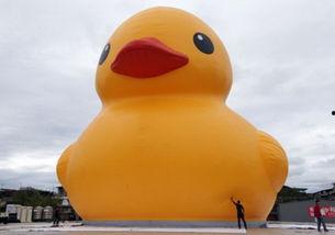 小鸭走路视频成人版,从蹒跚到稳健的可爱成长历程-第1张图片-草莓视频深夜 小鸭走路视频成人版,从蹒跚到稳健的可爱成长历程-第1张图片-草莓视频深夜