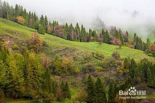 成人山林户外视频素材,成人户外活动精彩瞬间回顾-第1张图片-草莓视频深夜