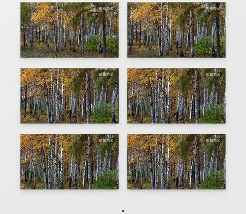 成人山林户外视频素材,成人户外活动精彩瞬间回顾-第2张图片-草莓视频深夜