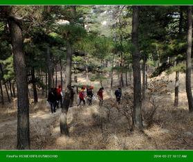 成人山林户外视频素材,成人户外活动精彩瞬间回顾-第3张图片-草莓视频深夜