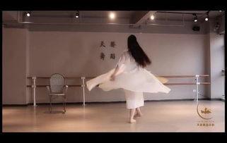 舞蹈简单成人教学视频,跟随舞蹈教学视频，开启您的舞蹈之旅-第3张图片-草莓视频深夜