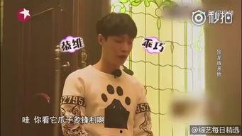 成人嗨视频在线观看,在线观看的激情之旅-第3张图片-草莓视频深夜