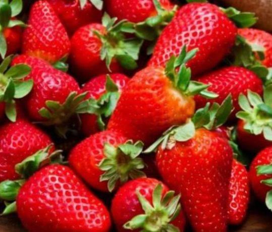 草莓视频簧片成人-第3张图片-草莓视频深夜