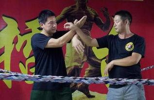 武术成人女生实战视频,女性力量与技巧的完美展现-第1张图片-草莓视频深夜